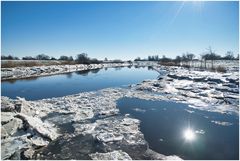 Stör im Winter