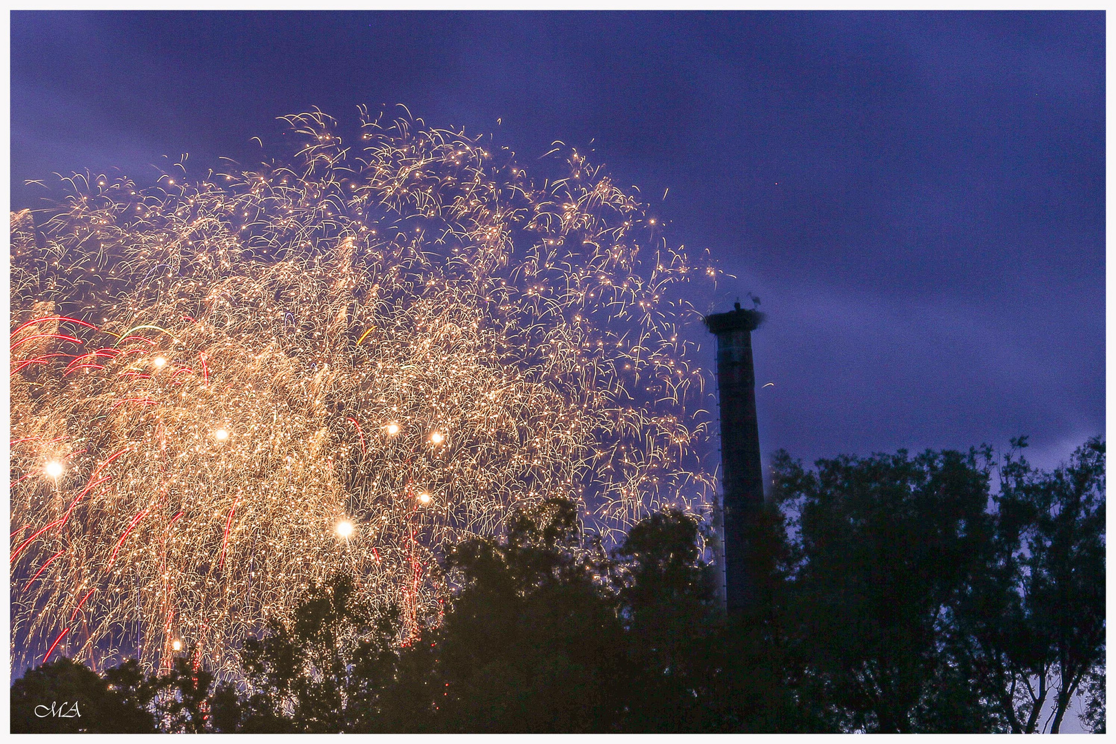 Störche beim Feuerwerk