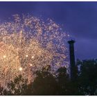 Störche beim Feuerwerk