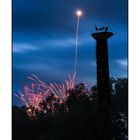 Störche im Feuerwerk