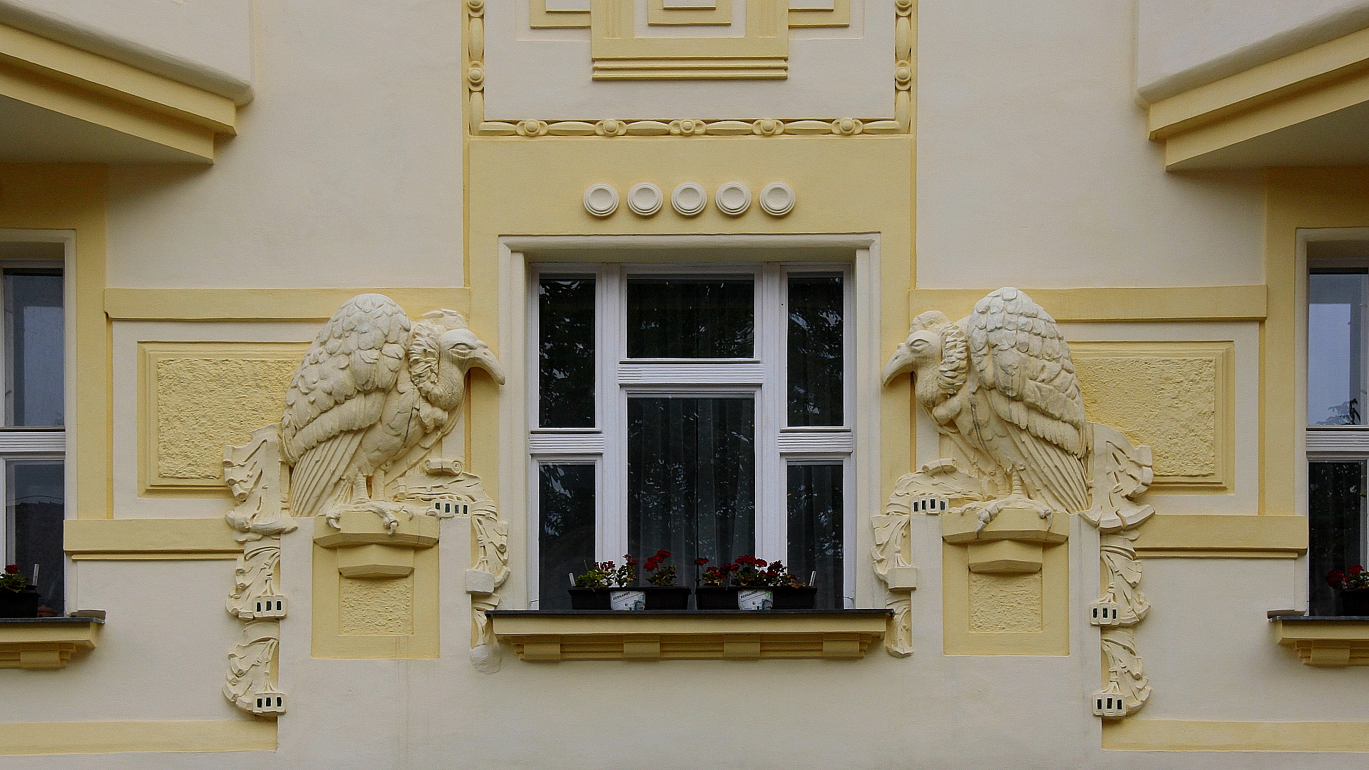 Störche - oder doch eher Geier ?