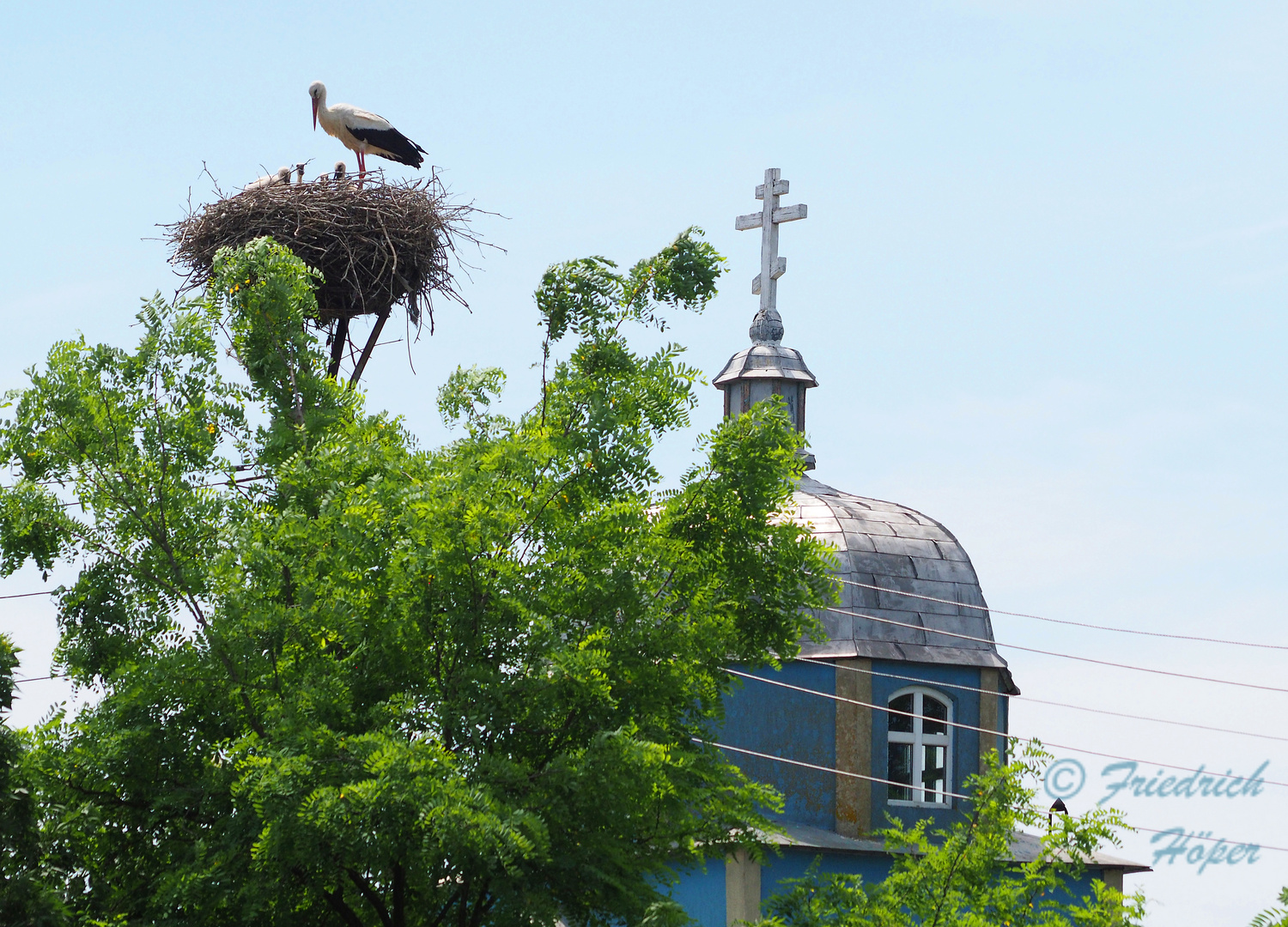 Störche vor der Lippowener-Kirche in Mila 23