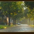 störendes Auto auf Dorfstraße nach Regen