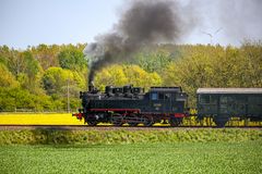 Störenfried im Bienenfeld