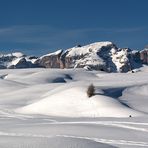 ... Störes Wiesen - Südtirol ...