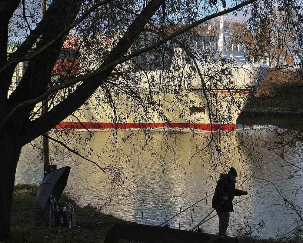 Störfaktor,