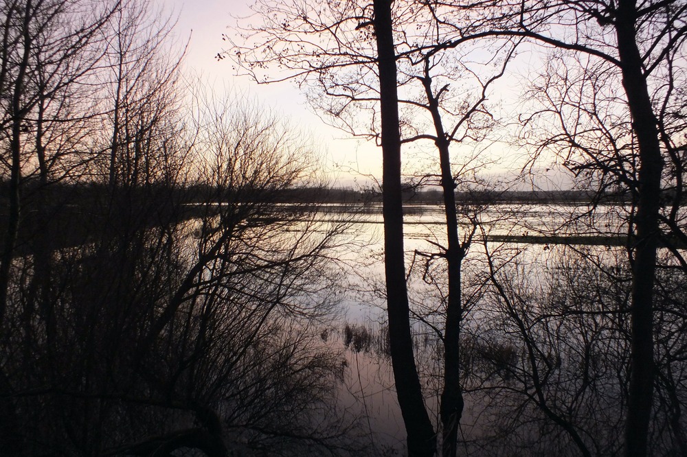 Störhochwasser bei Itzehoe