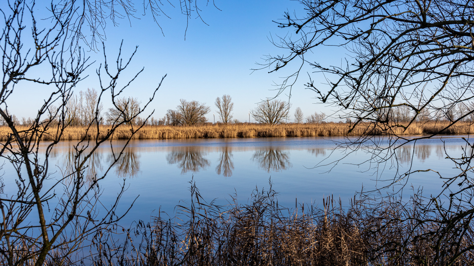 störlandschaft