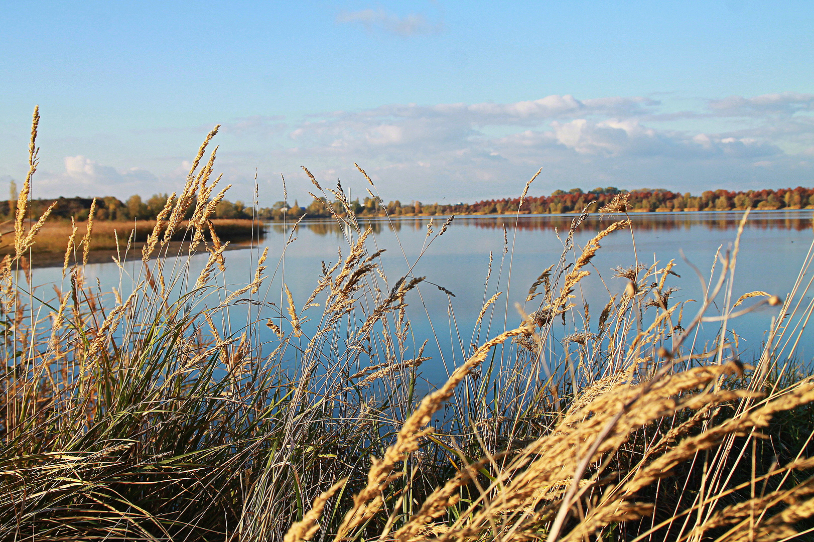 Störmthaler See