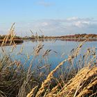 Störmthaler See