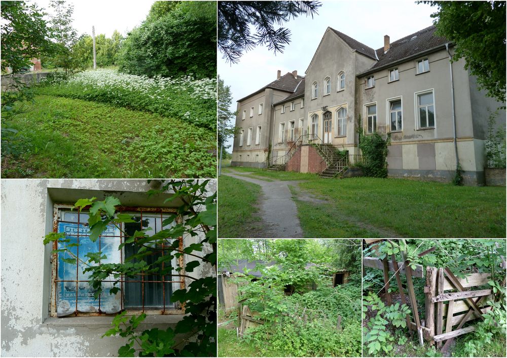 störtebeker im alten herrenhaus . .