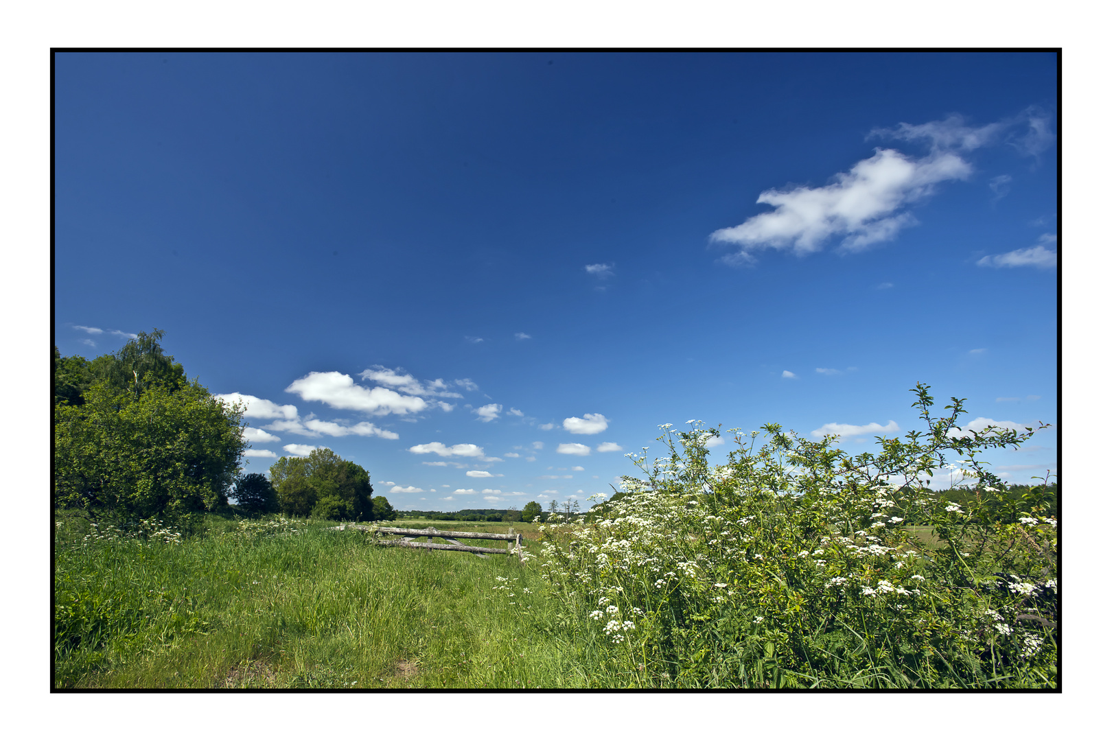 Störufer bei Fitzbek 1