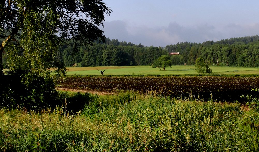 Störung in Früh