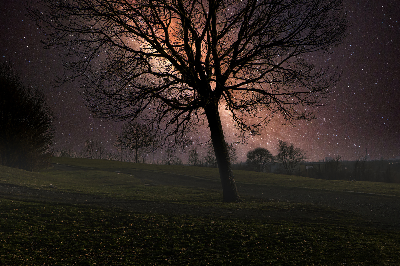 störung vom Baum