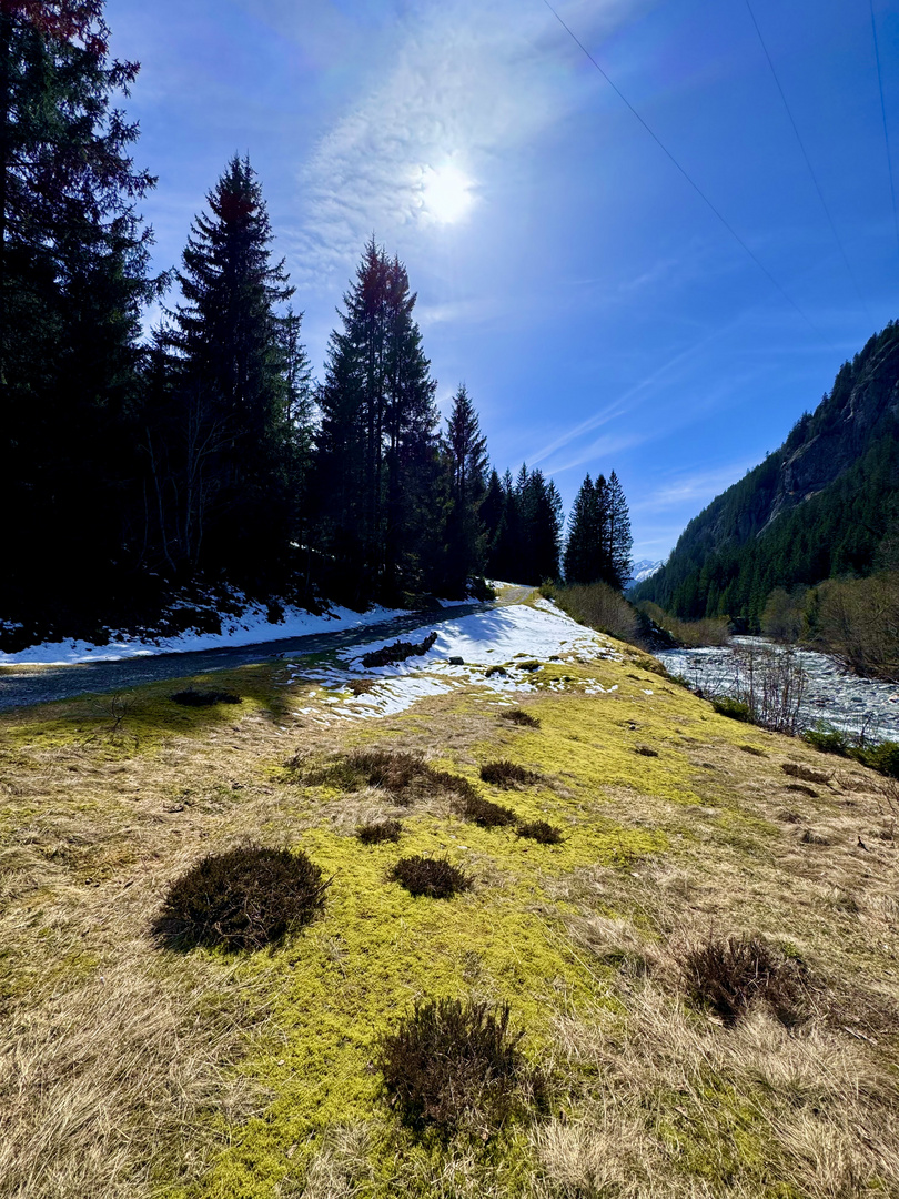 Stössialp