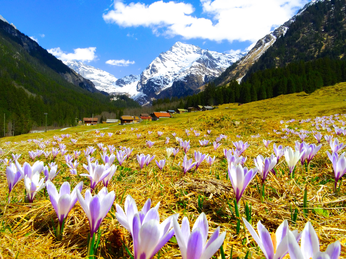 Stössialp , Maderanertal