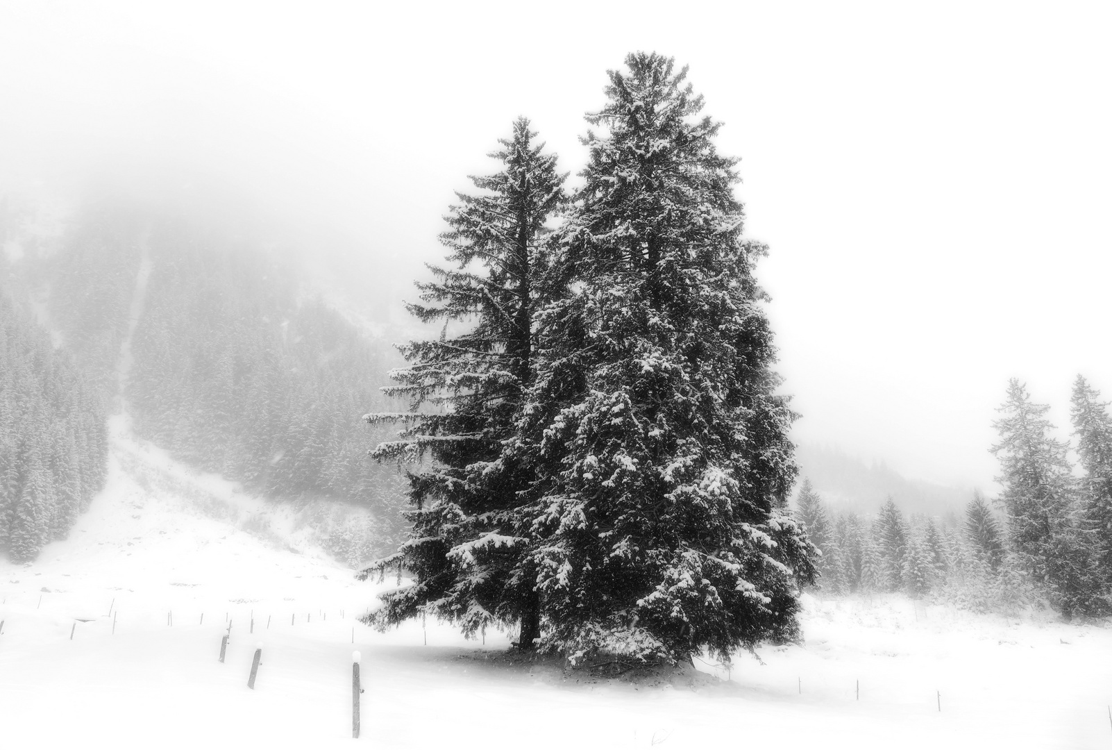 Stössialp,Maderanertal