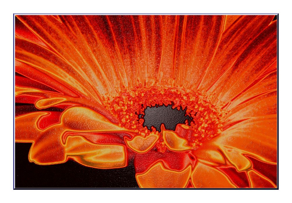 Stoffdesign "Gerbera (1) pp"