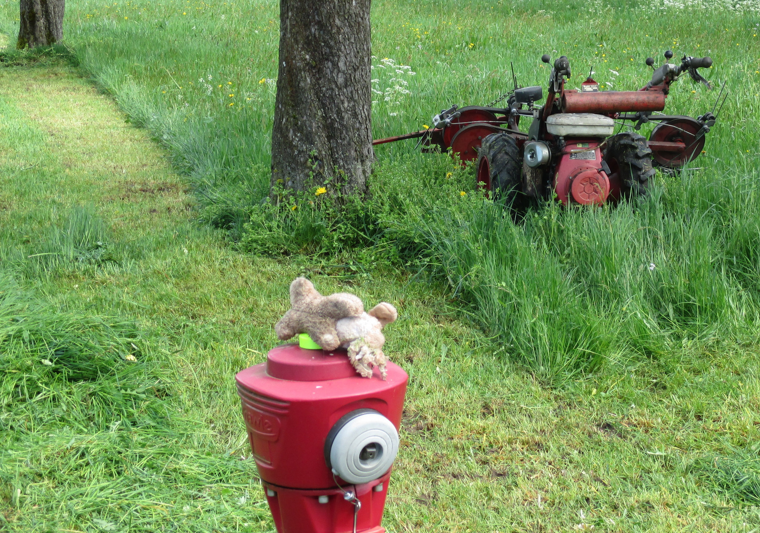 Stoffhase beim Mähen erwischt