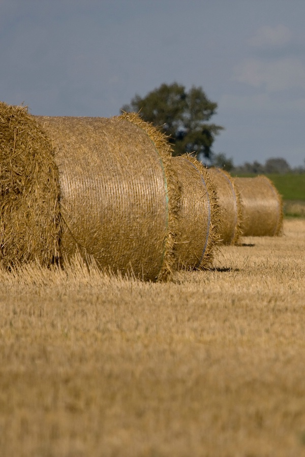 Stohballen