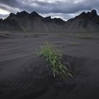 ...Stokksnes [ II ]