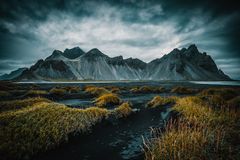 Stokksnes & Vestrahorn 