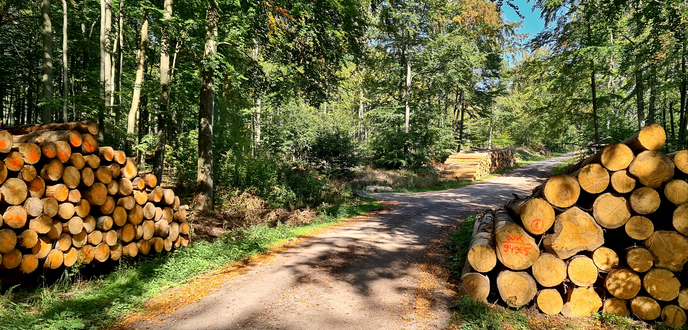 Stolberg - Wanderweg zum Josephkreuz