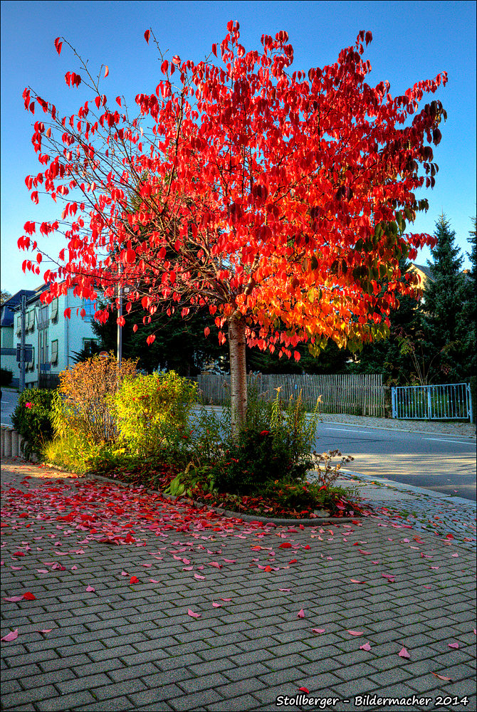 Stollberger Herbst