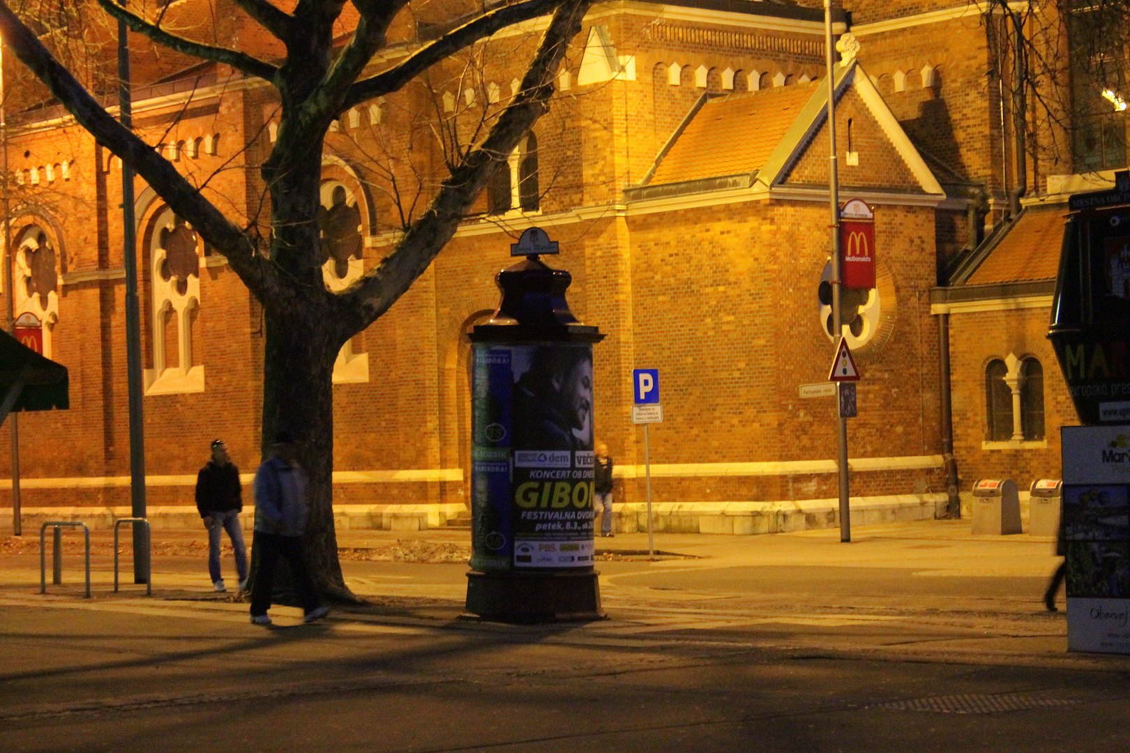 Stolnica by night III