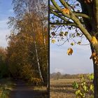 Stolper Feld - herbstlich (3D)