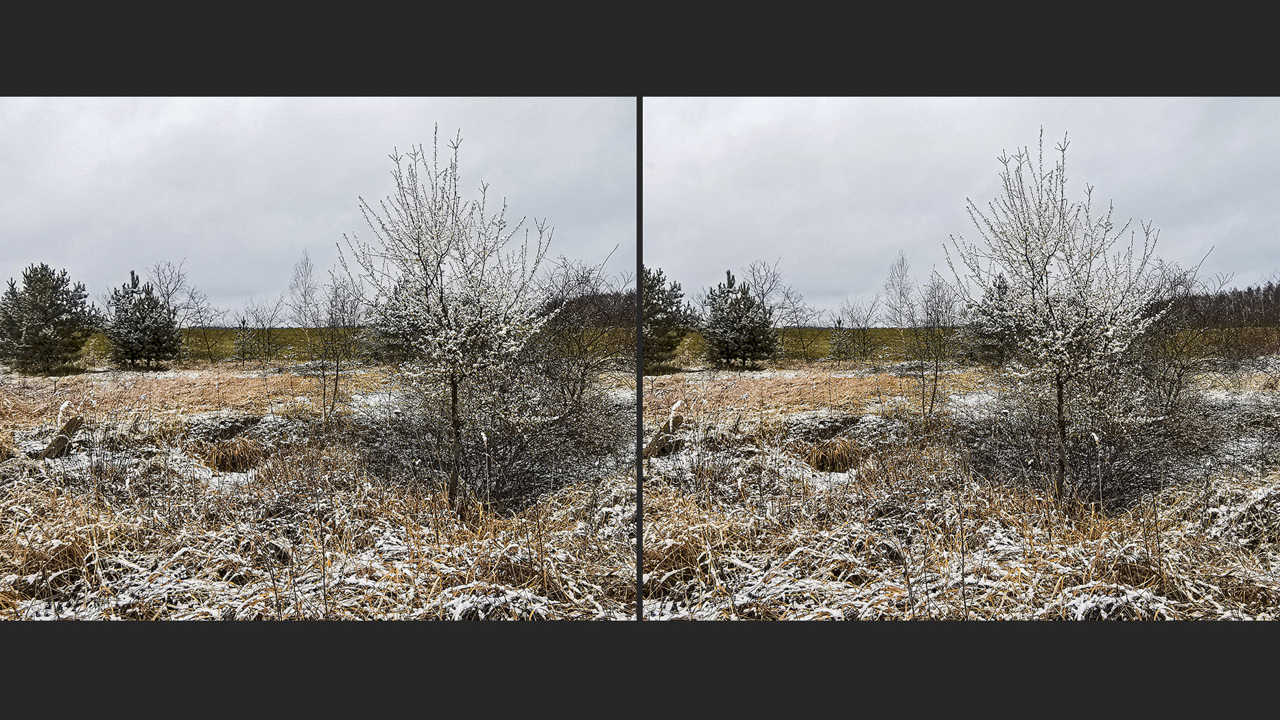 Stolper Heide im Schnee (3D)