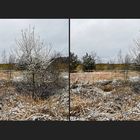 Stolper Heide im Schnee (3D)