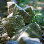 stolpern über'n spitzen Stein