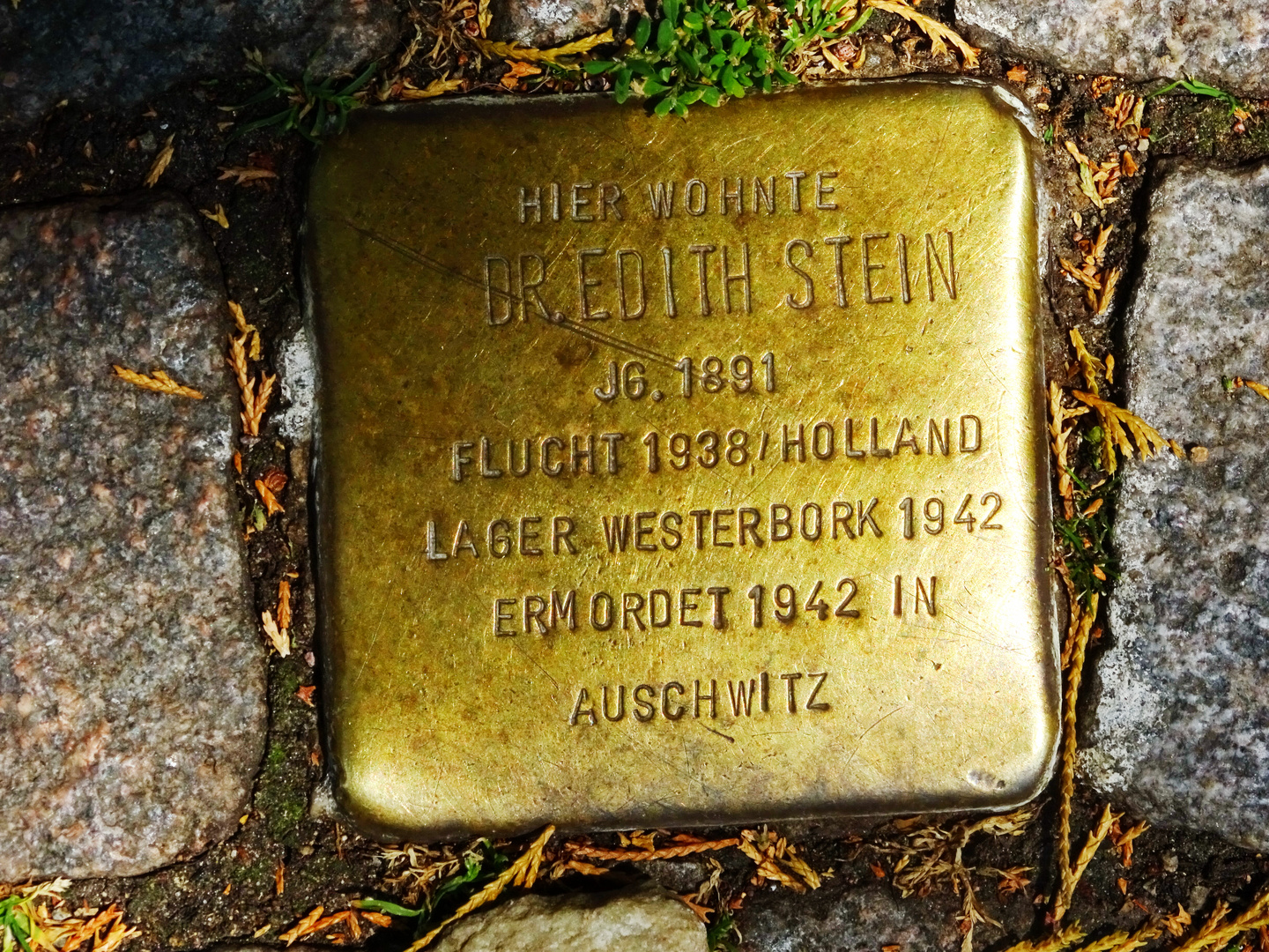 Stolperstein Dr. Edith Stein in Freiburg i.Br., Goethestraße Foto