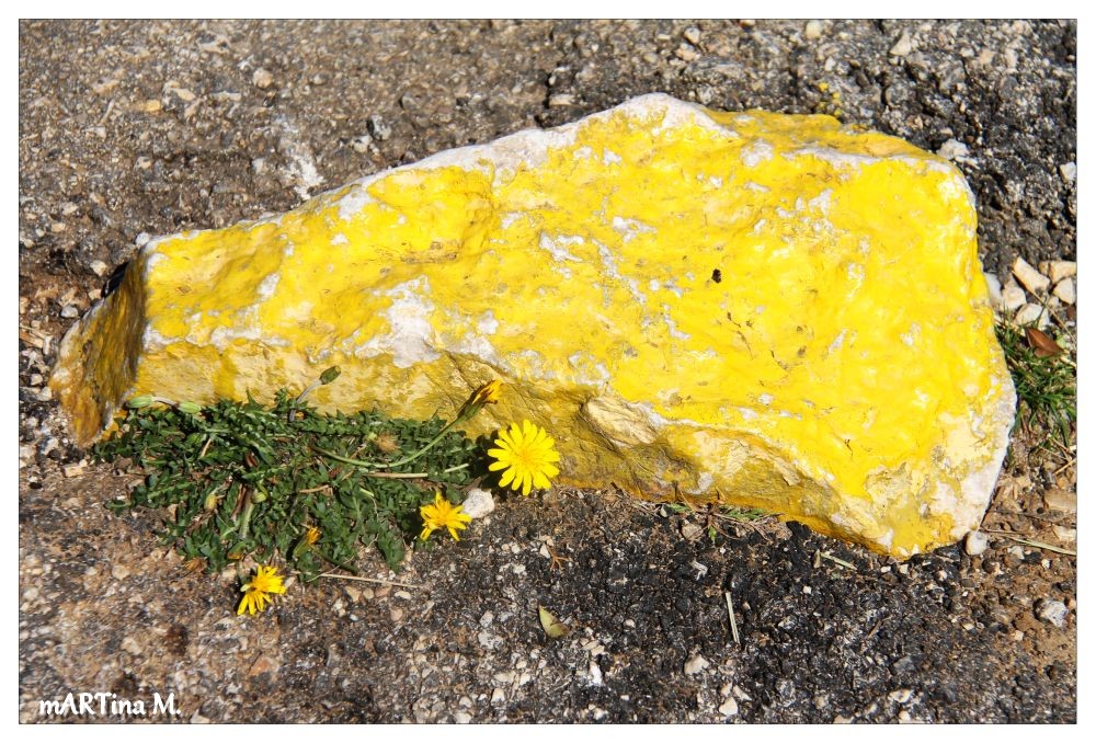 Stolperstein mit Stolperblümchen