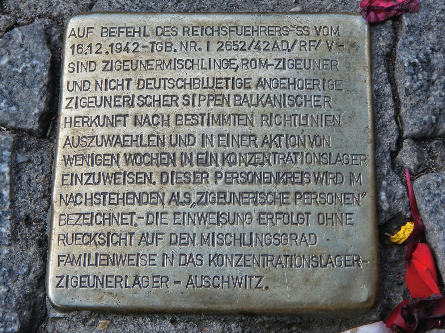 Stolperstein vor dem Kölner Rathaus