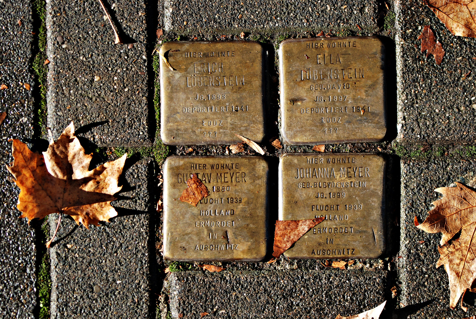 Stolpersteine der Erinnerung - Stumbling Stones of Remembrance