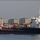 STOLT GUILLEMOT, Chemical Tanker, Rotterdam