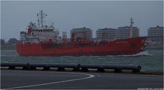 STOLT OSPREY /  Chemical Tanker / Rotterdam