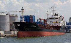 STOLT RAZORBILL / Oil/Chemical Tanker / Antwerpen