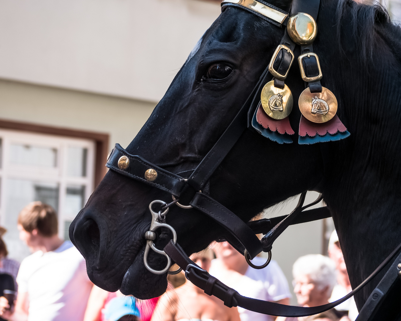 Stolz in seiner schönsten Form