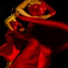 Stolz, Temperament und Bewegung im Flamenco