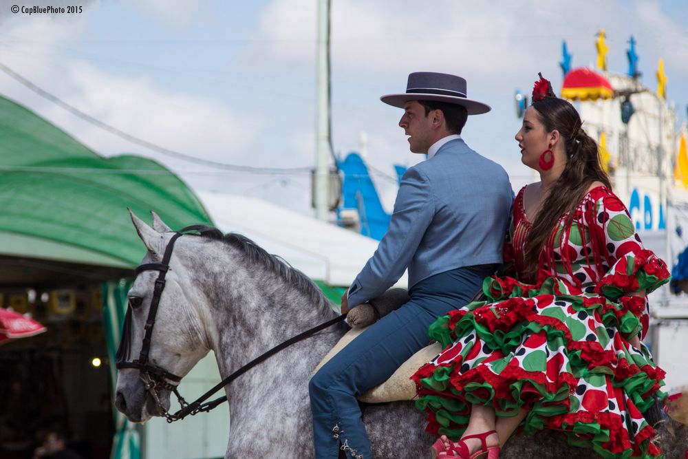 Stolze Andalusierin mit Reiter