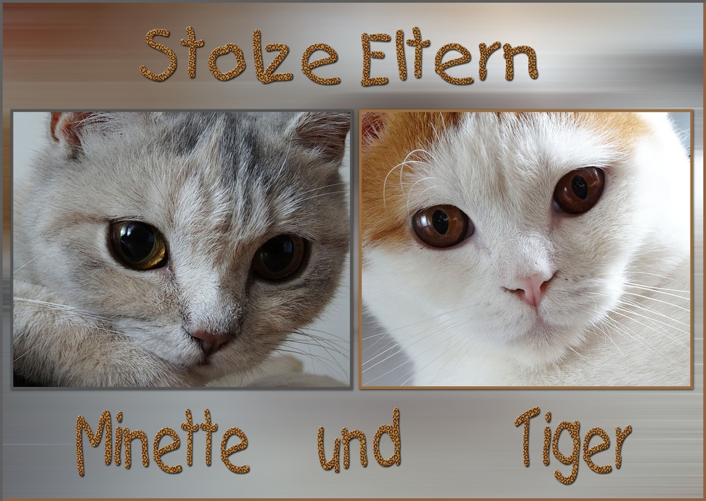 Stolze Eltern...