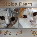 Stolze Eltern...