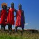 Stolze Freunde, Massai Mnner mit Lwenmhne