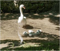 Stolze Mama