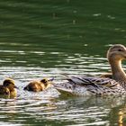 Stolze Mutti mit ihren Kids