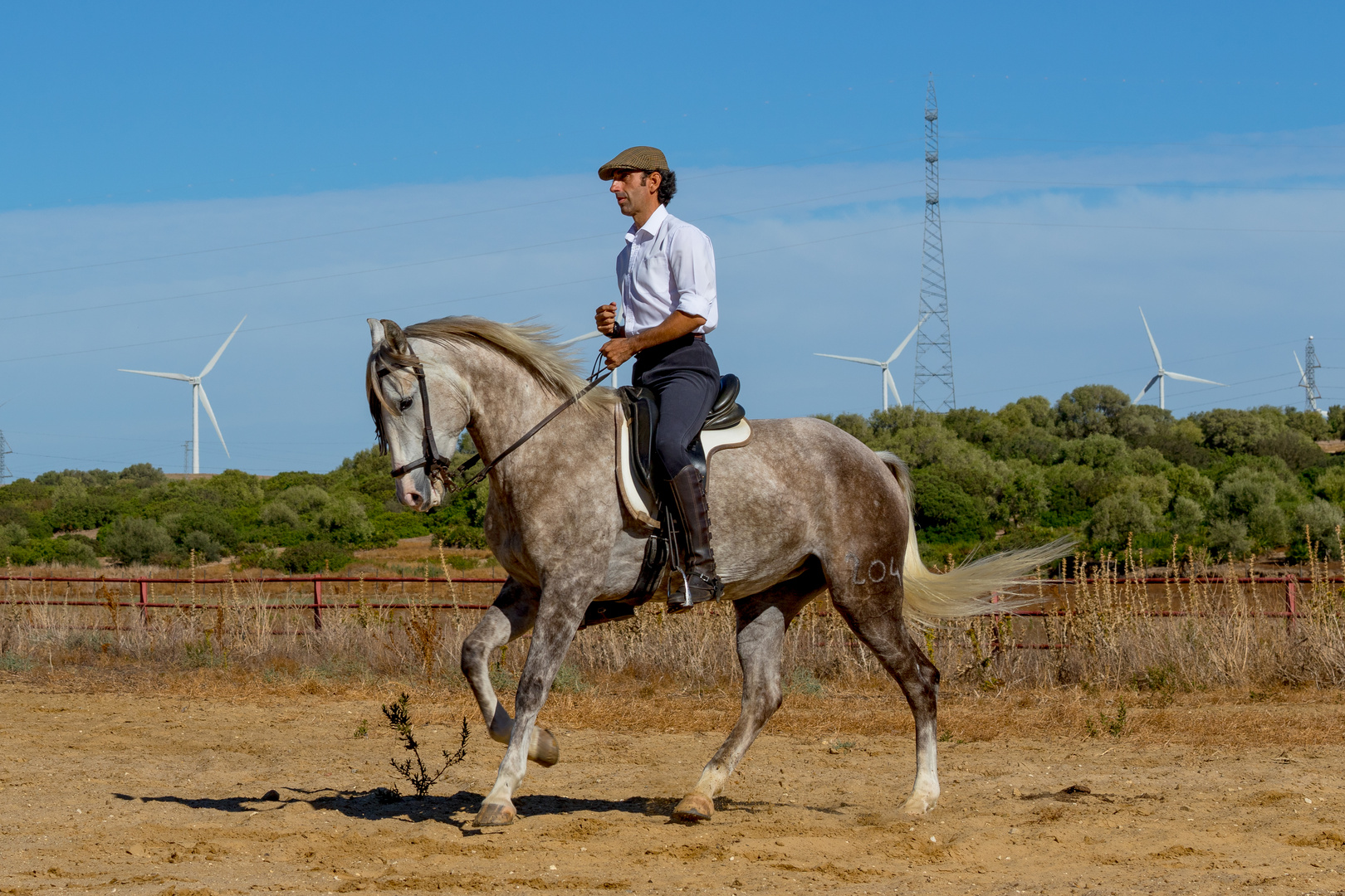 Stolzer Andalusischer Reiter