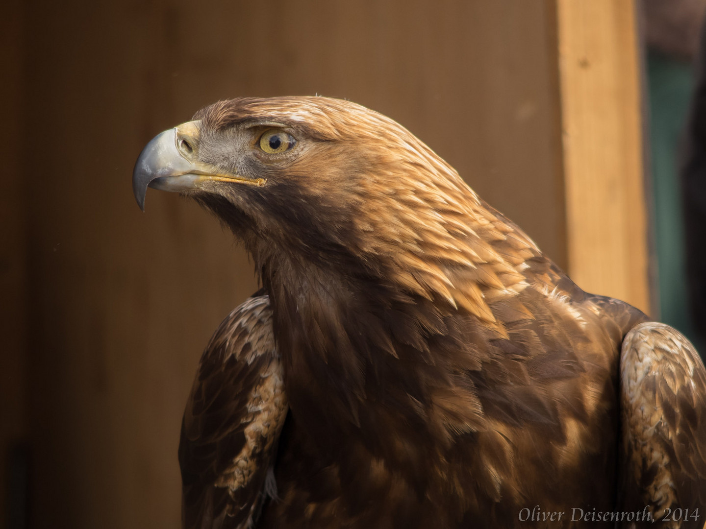 Stolzer Blick